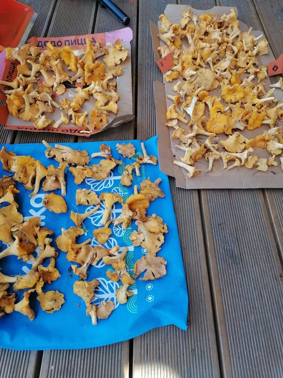 Дом на берегу реки Вуоксы