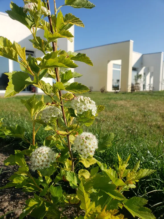 Коттедж Коттедж у озера — Калининград