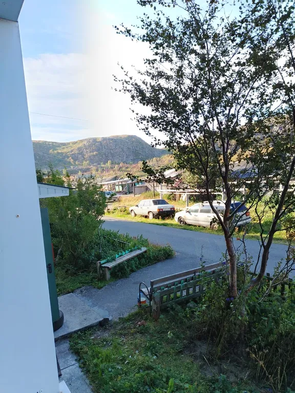 В гостях у Елены