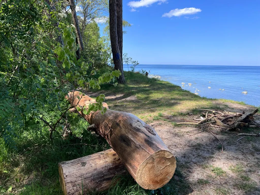 Дом у моря для большой компании