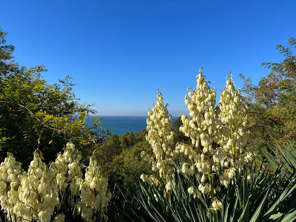 Яркая и солнечная квартира с видом на море