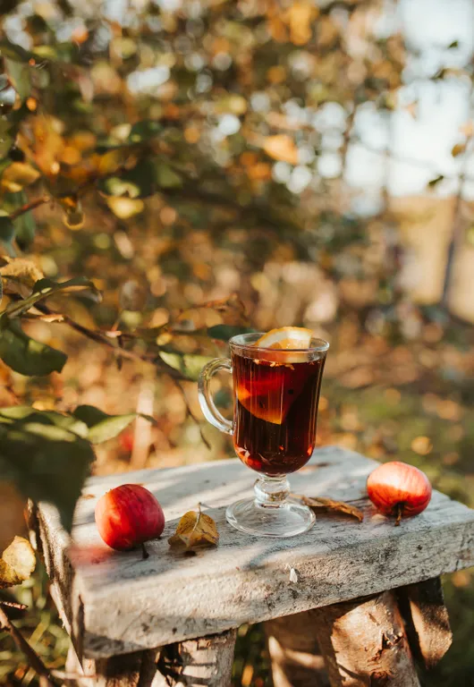 Дом на берегу озера Селигер