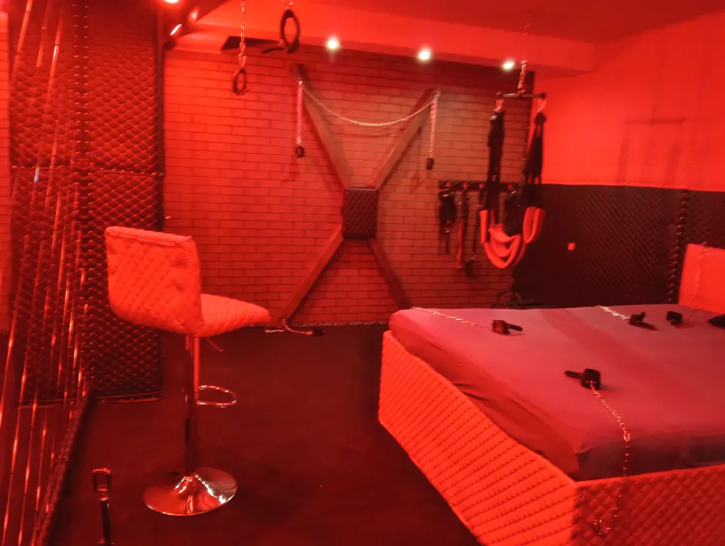 Тематическая квартира со строгой эстетикой доминации