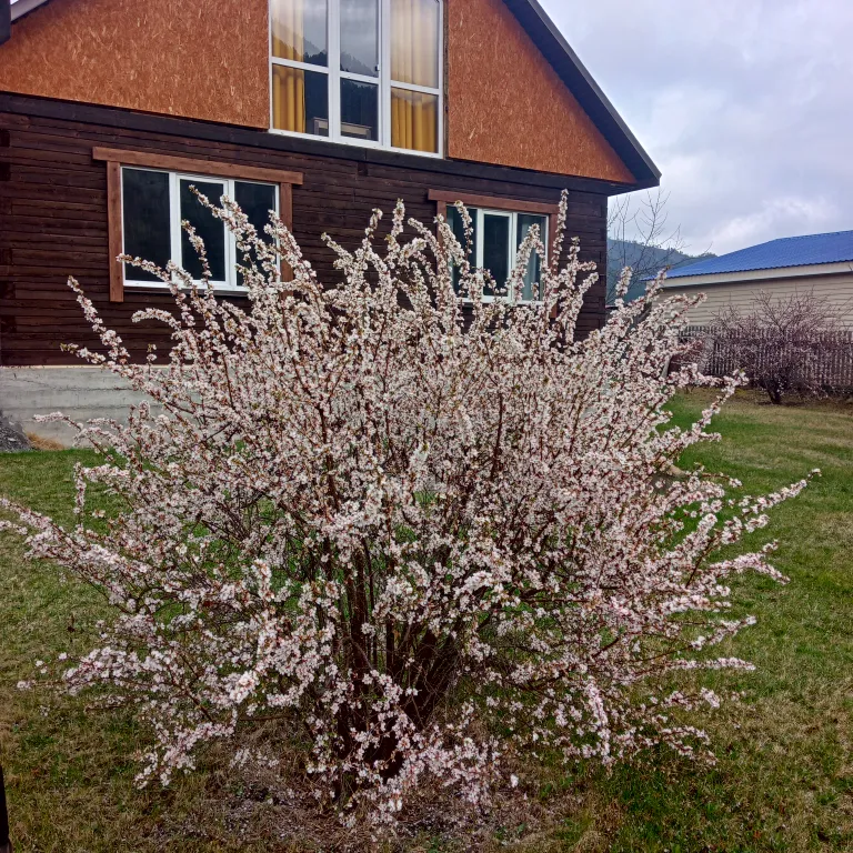 Уютный дом в саду