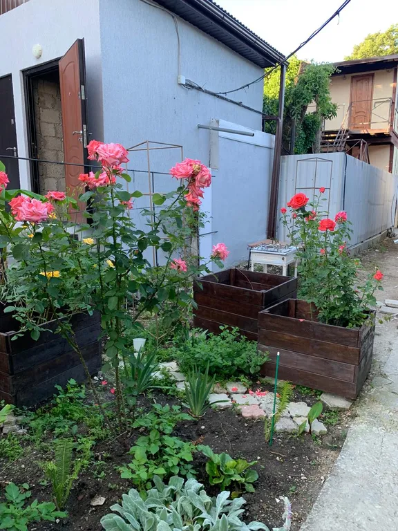 Уютный деревянный дом