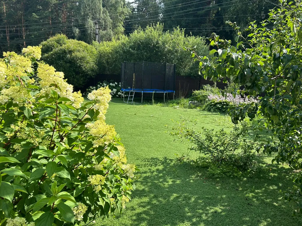 Загородный дом в окружении леса Grovehause