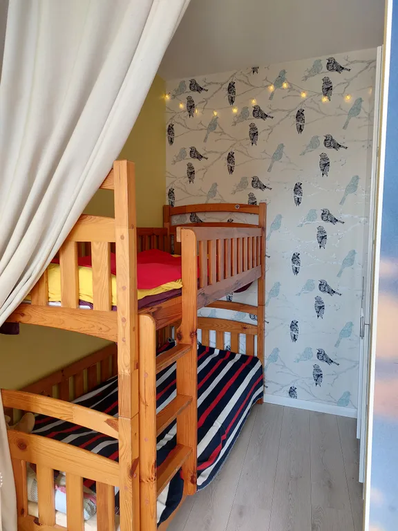 Солнечная студия у леса