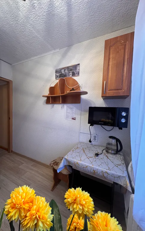 1-комнатная квартира в районе Телевышки