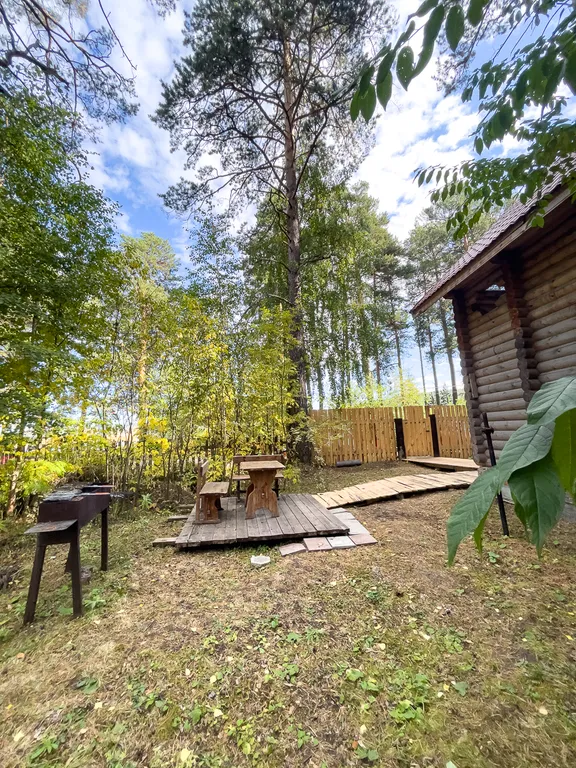 Дача в соснах 4