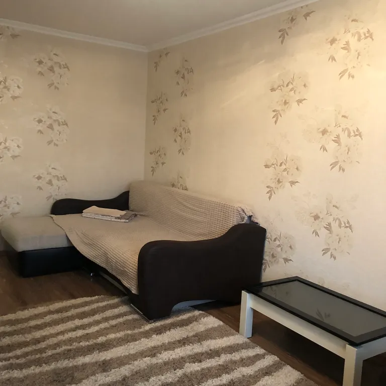 Просторная комфортная квартира