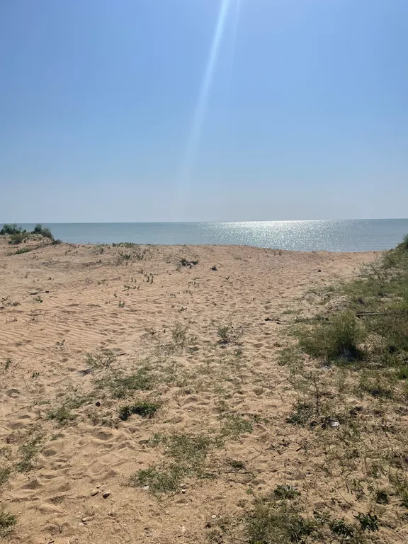 Деревянный дом у моря