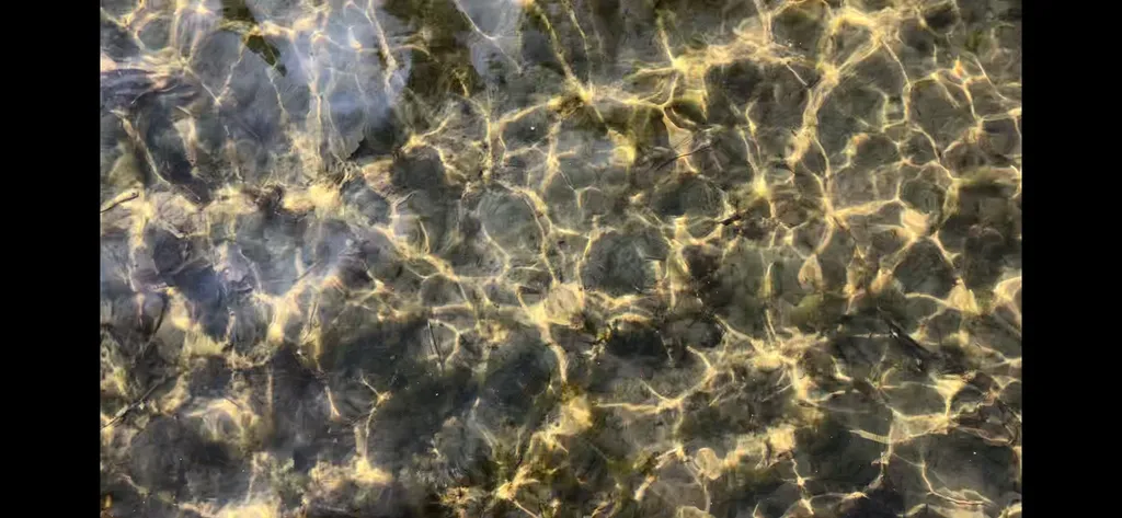 Дом у озера