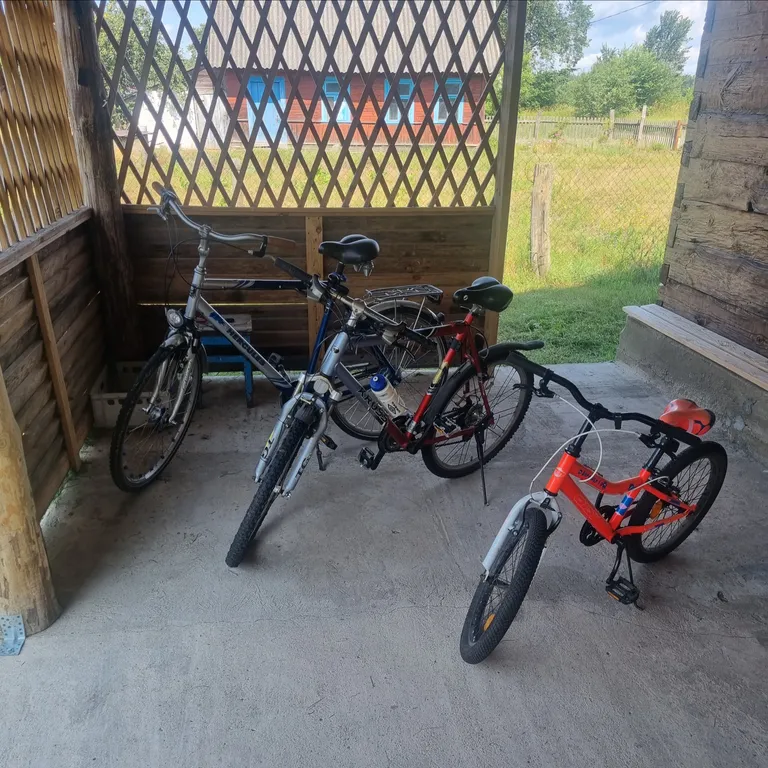 Отдых на территории гпу Беловежская пуща