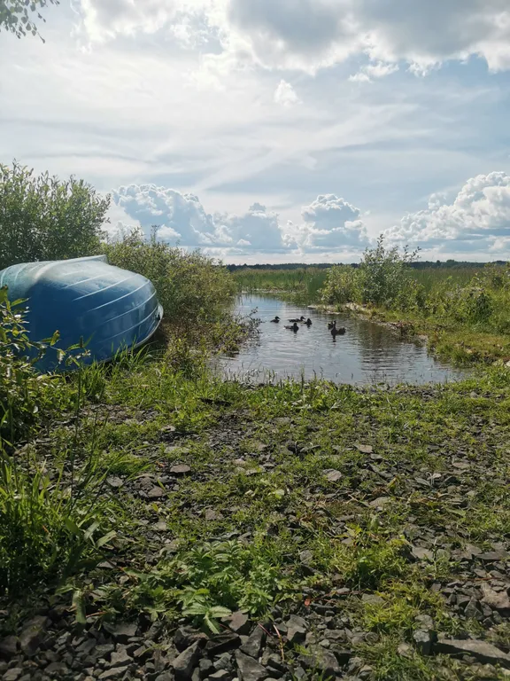 Уютный дом у реки с сауной и купелью