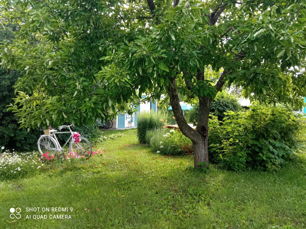 Коттедж Деревенский дом с садом и огородом — Воронеж