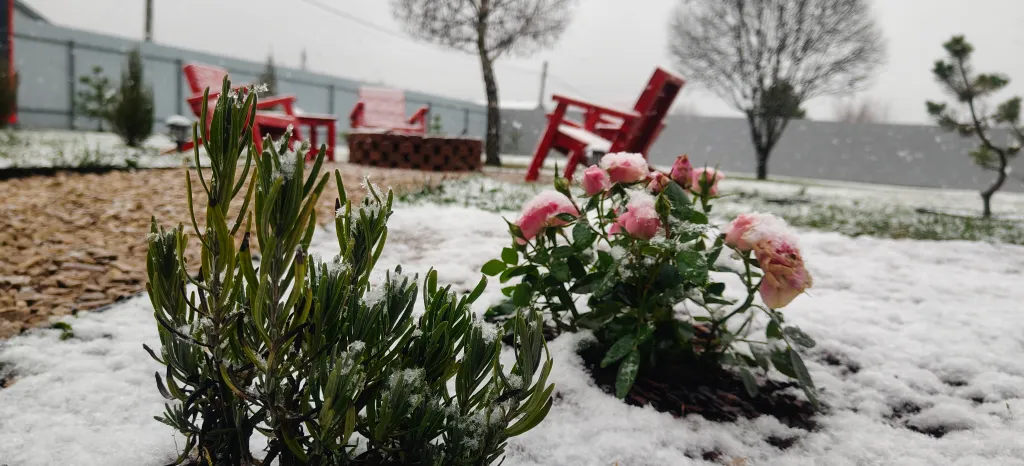 Коттедж Oasis denden дом с купелью — Михнево