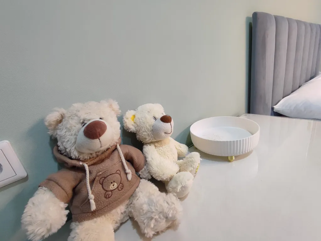 Просторная квартира для большой компании