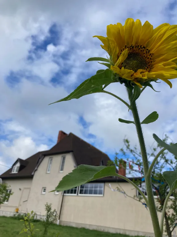 Дом в Донском на участке 12 соток