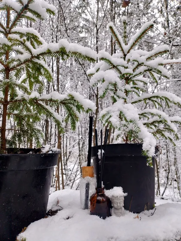 Дом с ванной у панорамных окон и высокой террасой в лесу