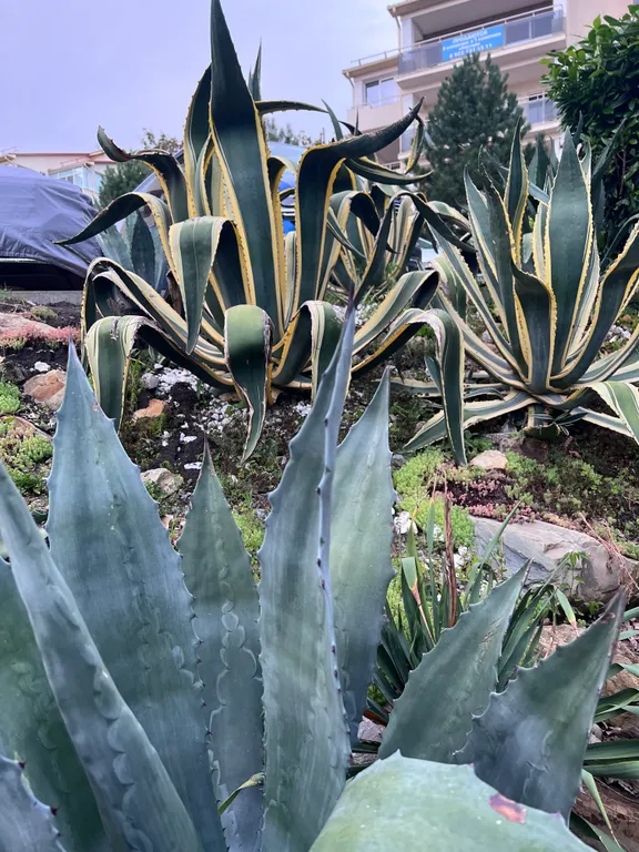 Апартамент с собственным пляжем