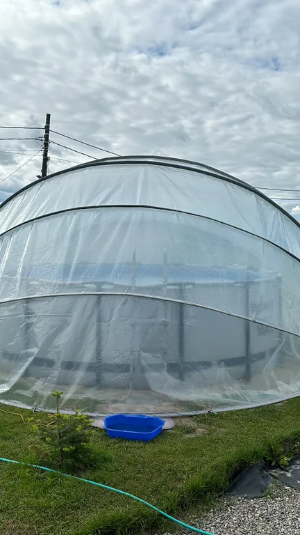 Дом-баня с бассейном и чаном