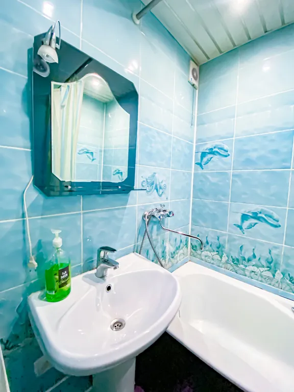 1 комнатная квартира в центральном районе