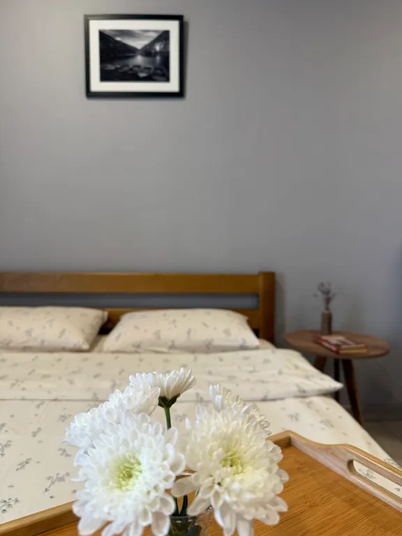 Стильная видовая студия в центре города