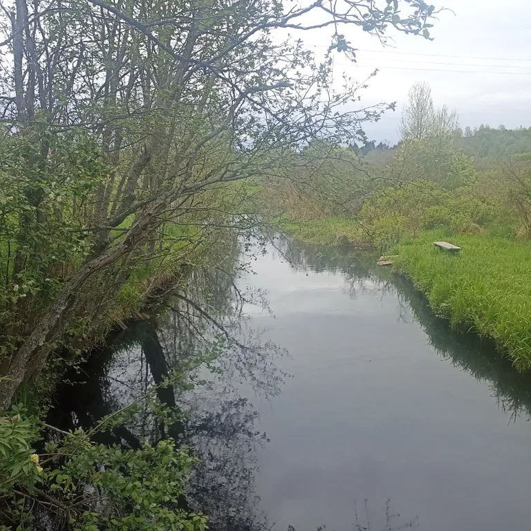 Уютный дом на берегу реки в 10 км от центра города Выборга