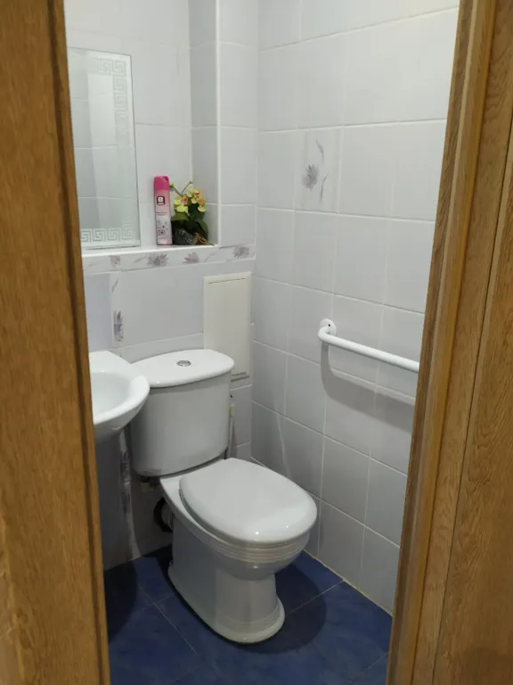 Квартира 1-комнатная Квартира — Пушкин