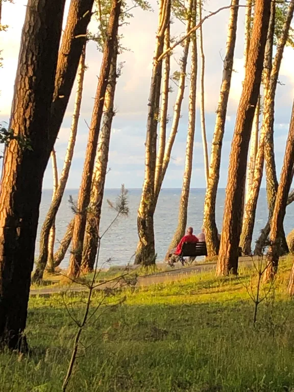 Уютная квартира в зеленом городке на Балтийском море