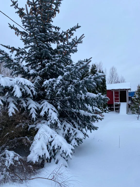 Smaland Семейный дом с сауной