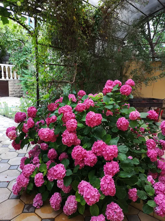 Дом на берегу моря