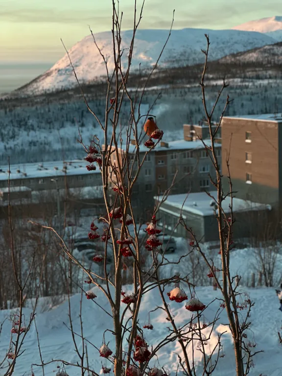 Уютная квартира с видом на горы