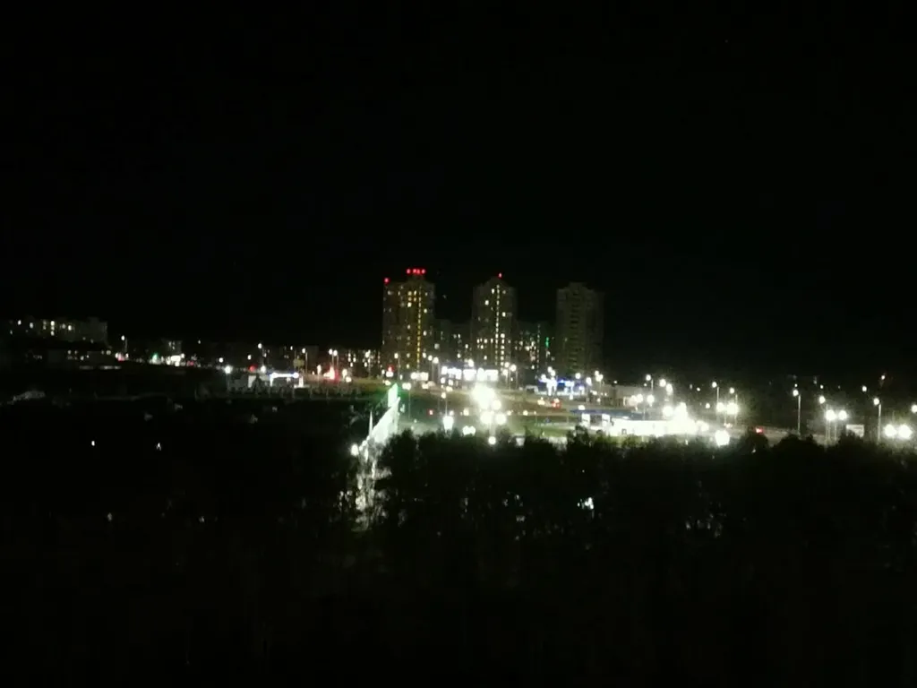 Уютная квартира с видом на берёзовую рощу