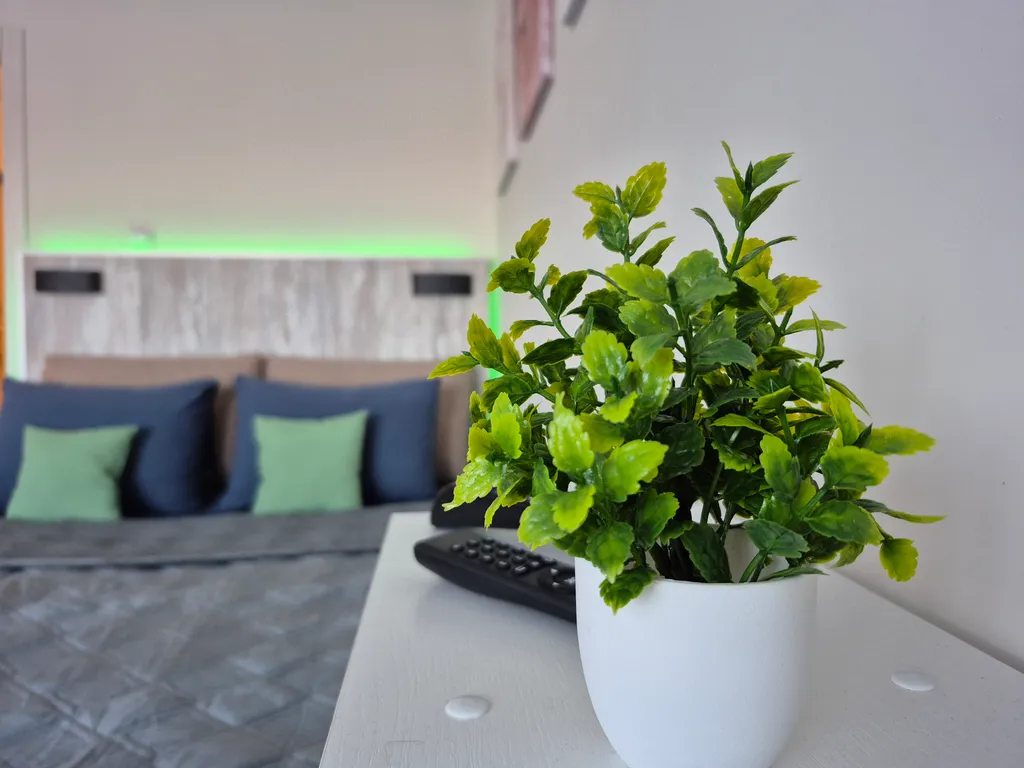 Студия на набережной с видом на реку