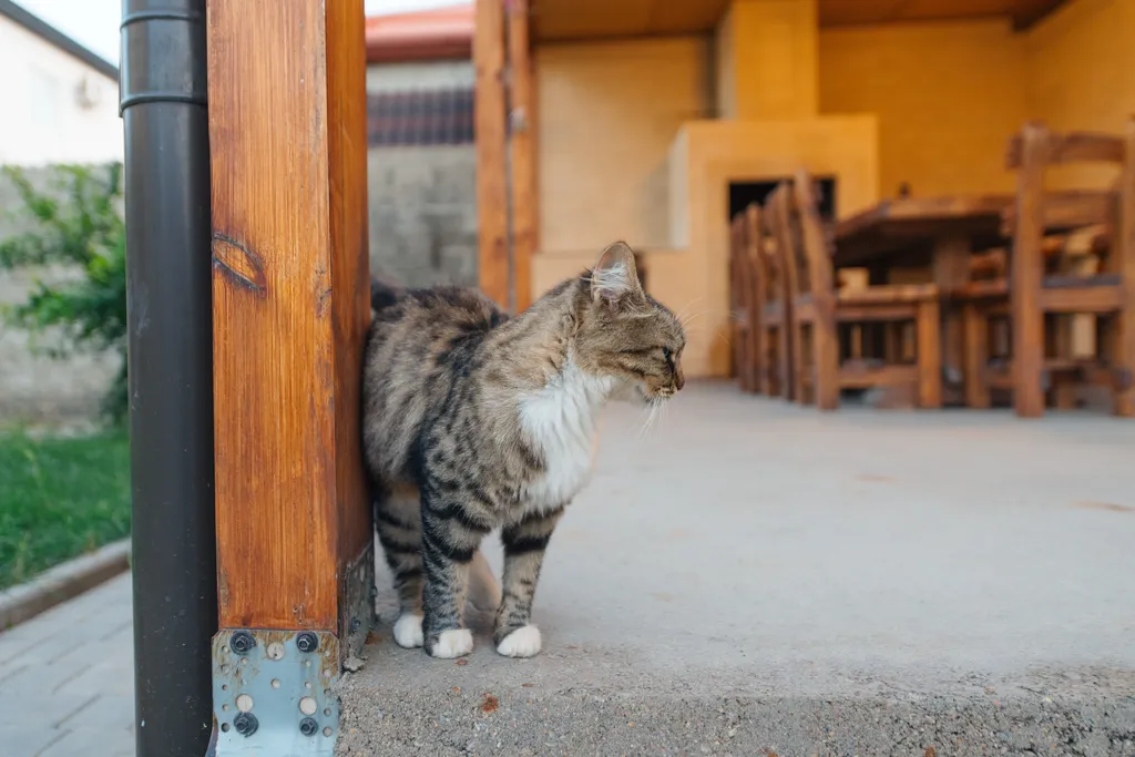 Дом у моря с парной и бассейном