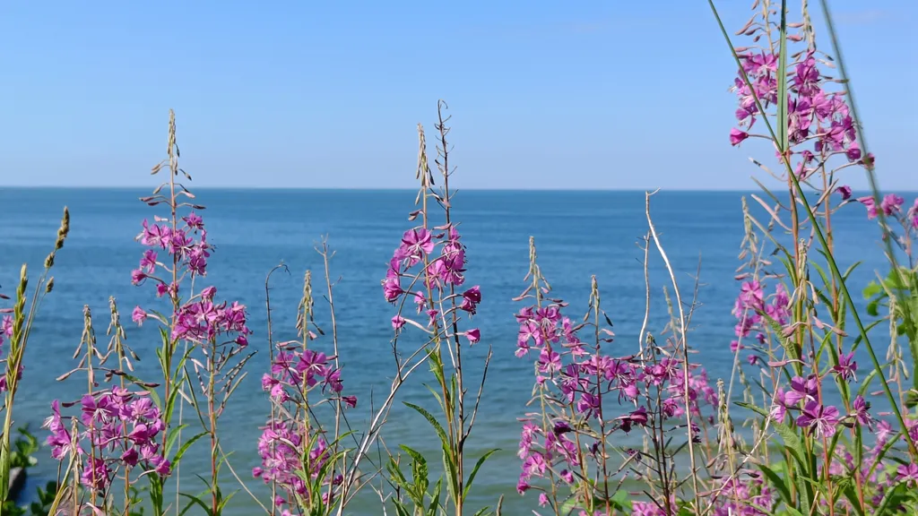 Апартаменты на Балтике