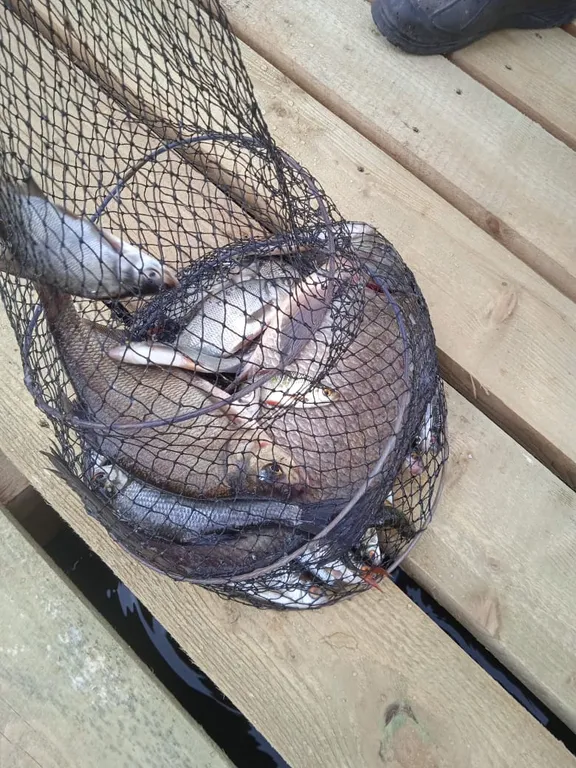 Коттедж Коттедж Селигерское — Березово