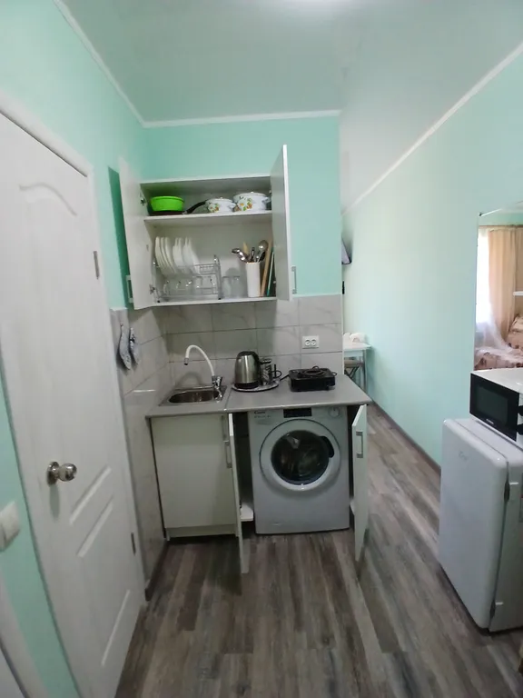 Квартира-студия с шикарным видом из окна на горы и парк