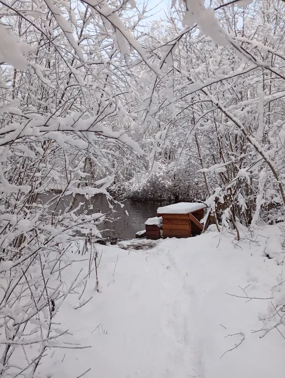 2-к. дом с сауной и балконом на реку