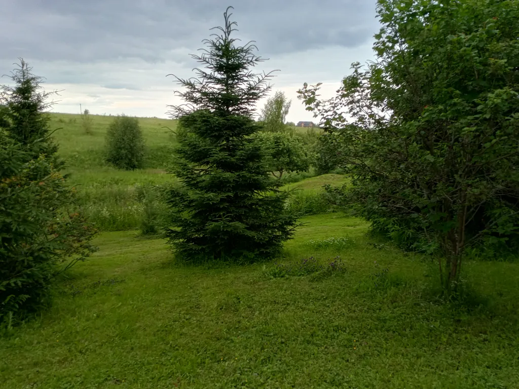 Уютный дом на краю города