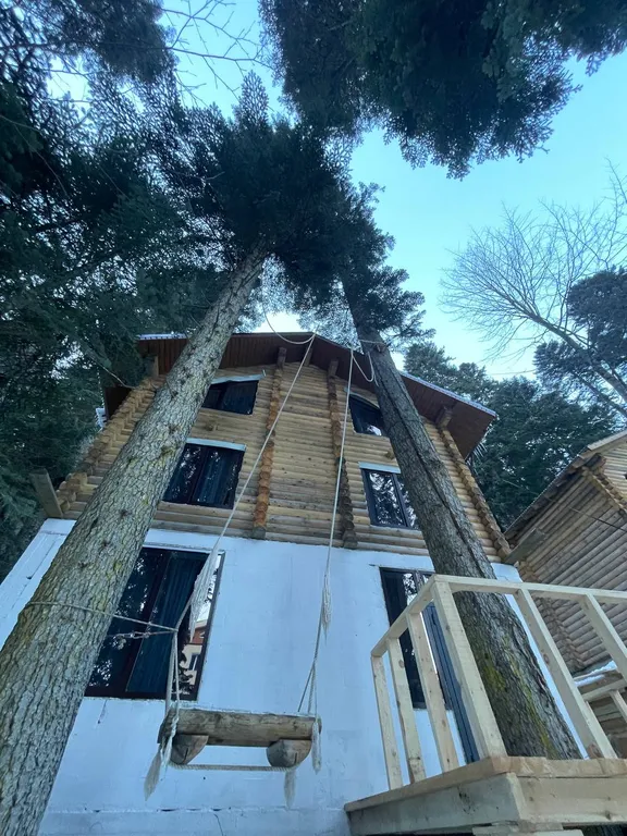 Домик в лесу для большой компании