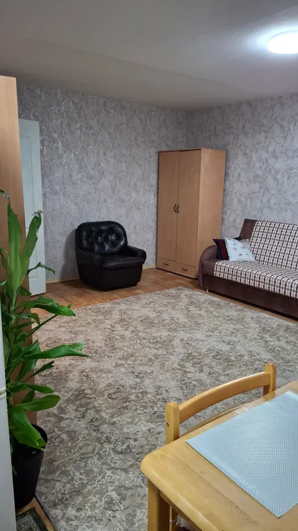 Квартира- студия, есть всё необходимое