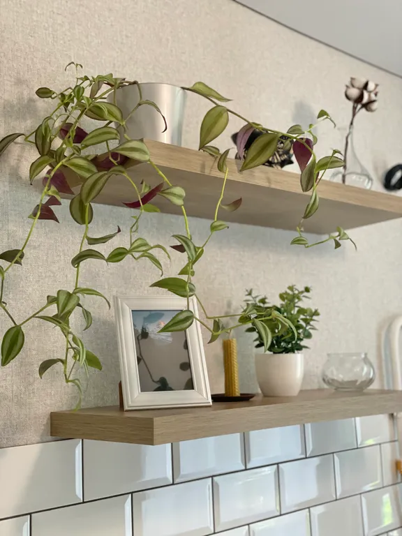 Уютная квартира рядом с санаторием Дубрава