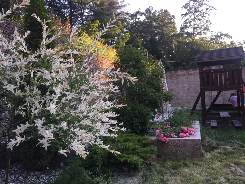 Уютные апартаменты на втором этаже в частном доме