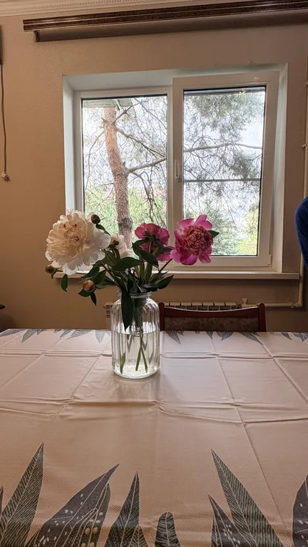 Дача на реке