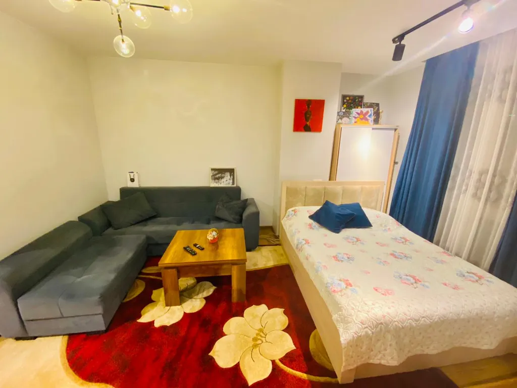 1-комнатная Квартира — аренда посуточно в Батуми