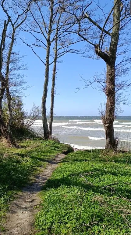 Квартира Отличная квартира в шаговой доступности от моря — Пионерский