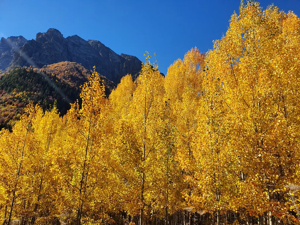 Апартаменты с панорамными видами на горы и лес в центре