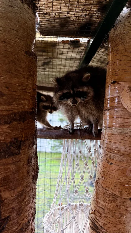 Коттедж Кpасотa пpиpоды, уют загорoдногo дома и комфорт отеля 5* — Логиново